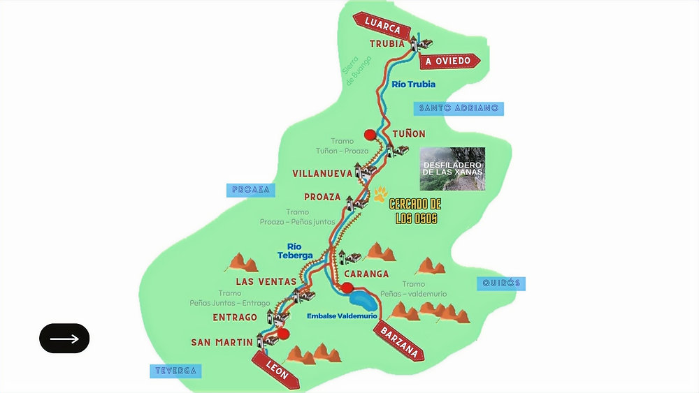 Senda del OSO Asturias  | Contenidos Libres