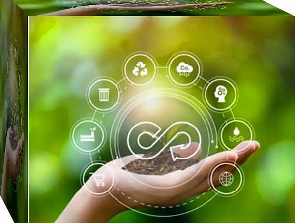 Economía Circular: Optimizando recursos y reduciendo residuos