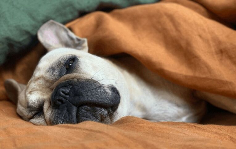 Por qué salir de la zona de confort ‣ Vivécdotas